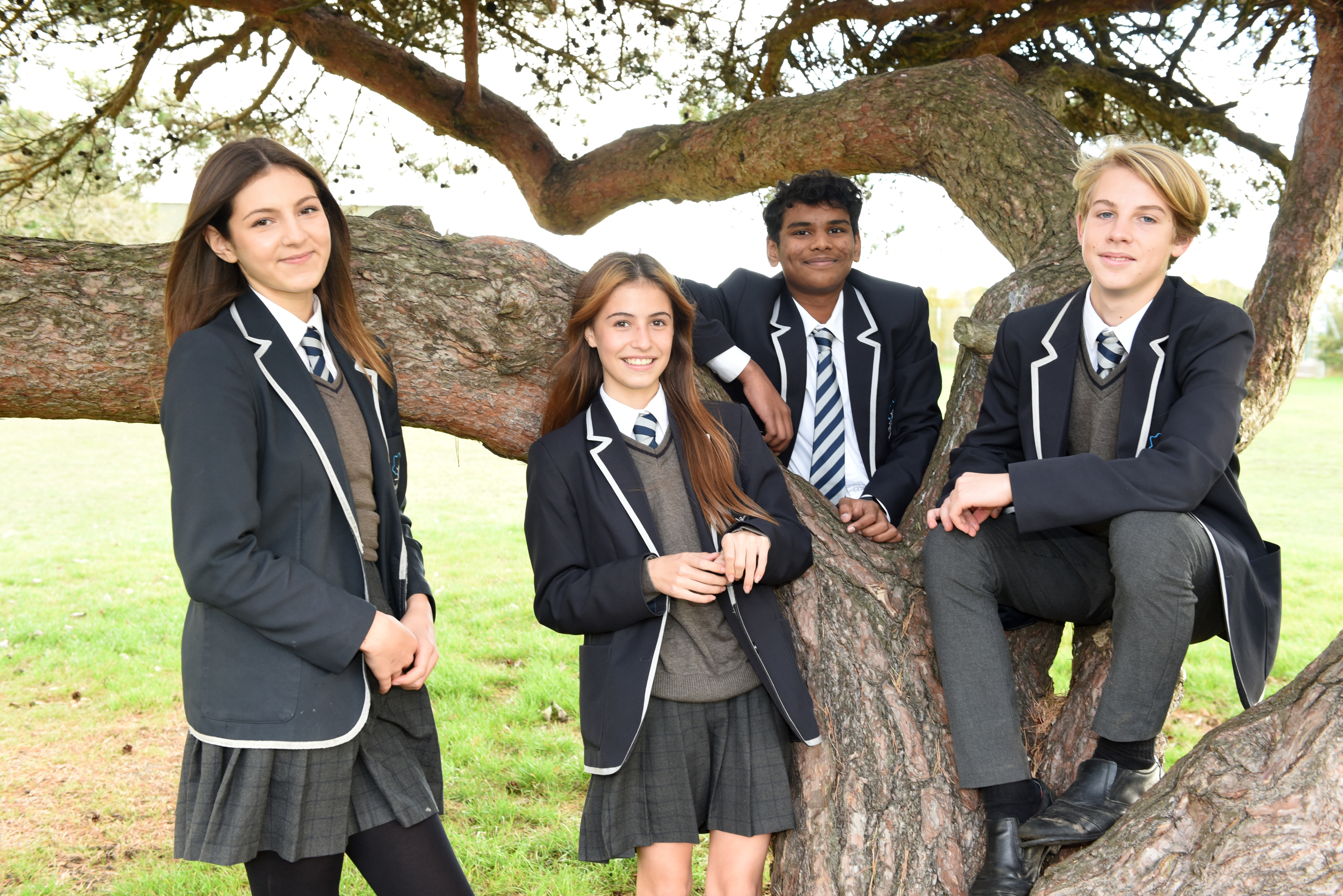 Curriculum by Year Group 2024-2025